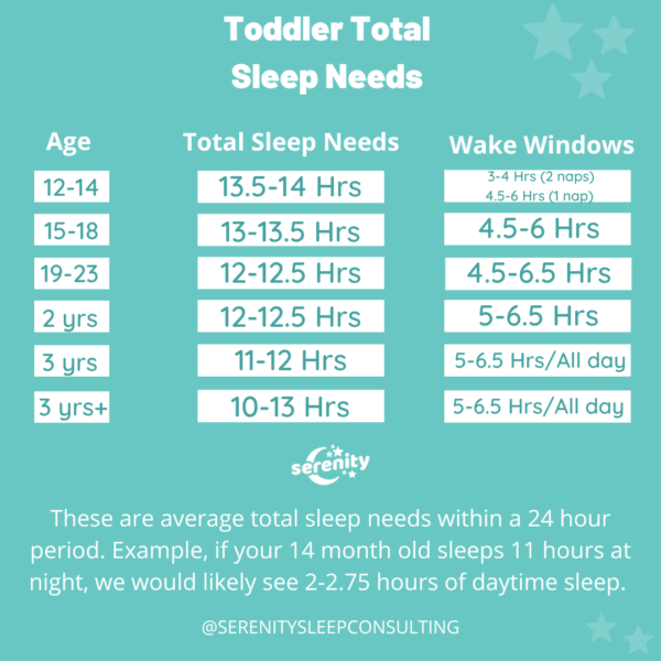 Toddler TOTAL Sleep Needs 2